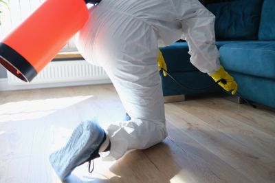 Residential Fumigation in Franklin, TN