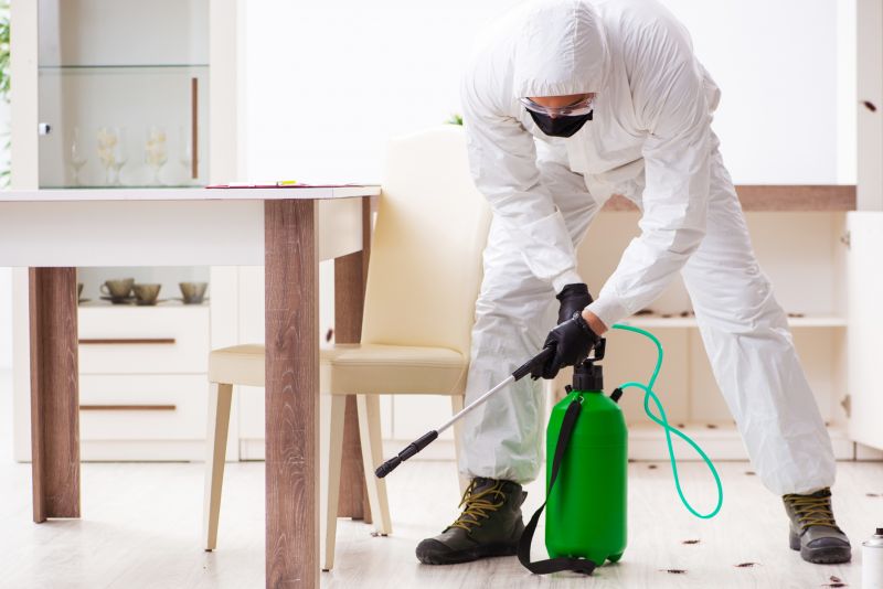 Signs You Need Professional General Pest Control Services